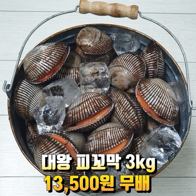남해안 대왕 피꼬막 3kg