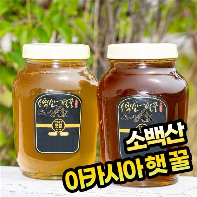 경북영주 소백산 벌꿀