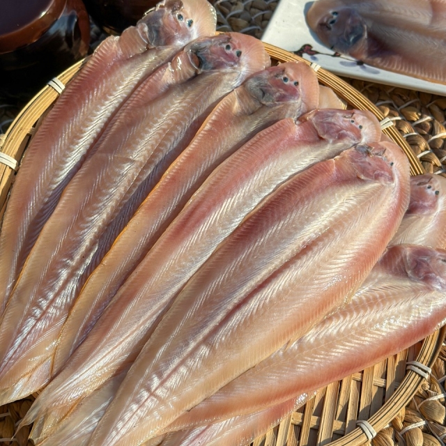 [한정수량특가] 반건조박대