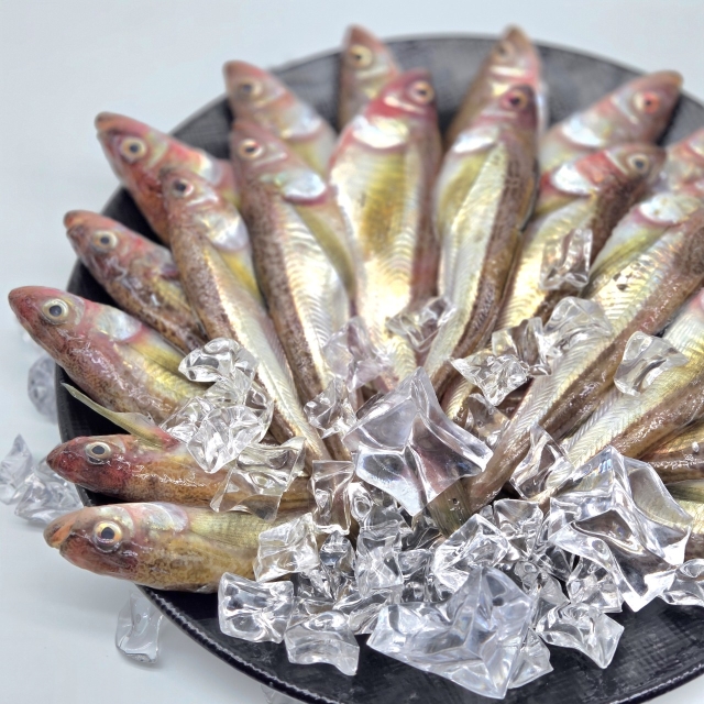 급냉 동해안 도루묵 1kg (20마리 내외)