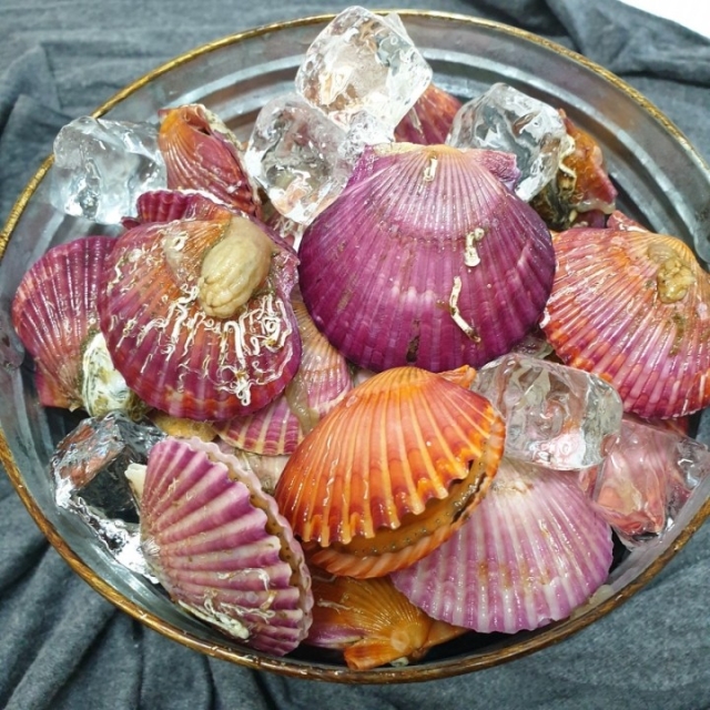 할인특가!! 국산 홍가리비 2kg (30-40미 내외)