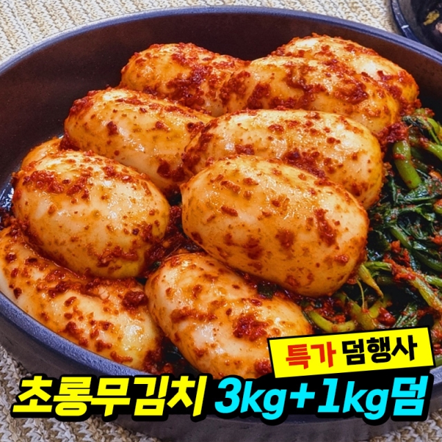 봄 초롱무 김치 덤행사